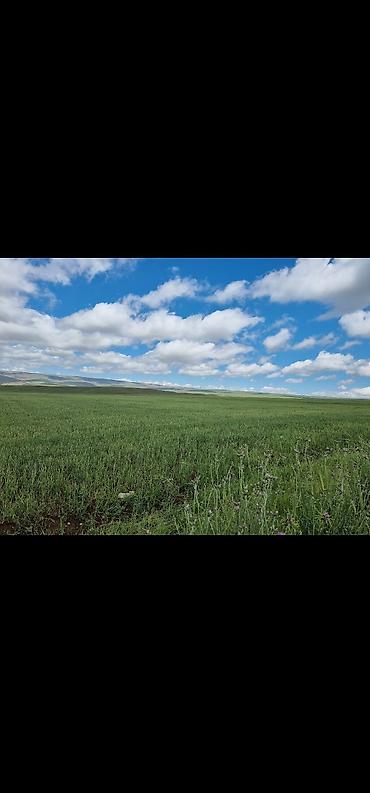 samaxi: 800 sot, Kənd təsərrüfatı, Mülkiyyətçi, Kupça (Çıxarış) — 2