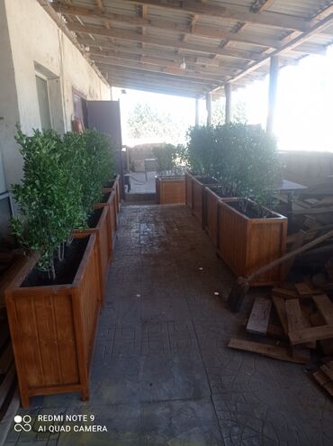 Bitkilər üçün dibçəklər: Dibçək güldanlar. Dipçəklər bir başa sexdən.Sex qiymətinə. ♦️Endrim — 9