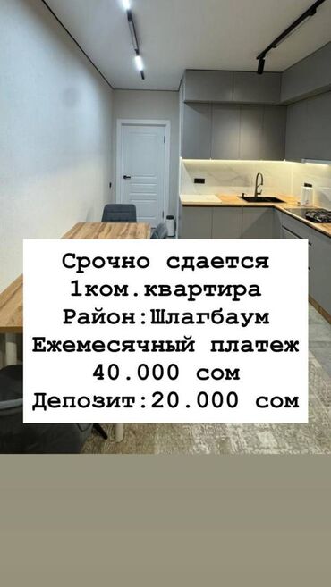 1 комнатная квартира на ночь: 1 комната, Агентство недвижимости, Без подселения, С мебелью полностью