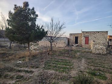 saray torpag: 12 sot, Mülkiyyətçi — 3
