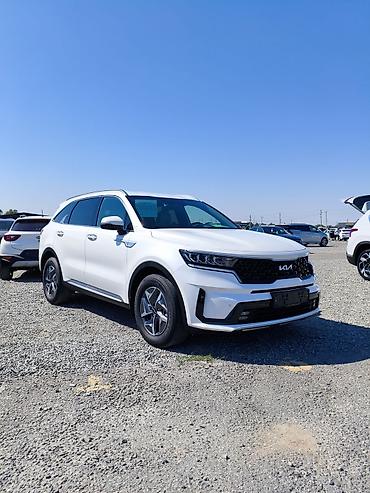 sp 4: Kia Sorento: 2022 г., 1.6 л, Автомат, Гибрид, Кроссовер — 1
