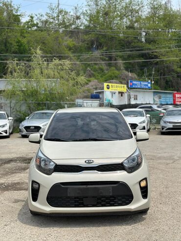 Kia: Kia Picanto: 2019 г., 1 л, Автомат, Бензин, Хэтчбэк