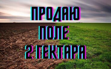 работа в бишкеке швейный цех упаковщик: 🌱 Сатылат жер — 2 гектар 🌱 📍 Жайгашкан жери: Чоң-Далы айылы