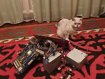 pc case: Материнская плата для ПК, Б/у, LGA775, ATX — 1