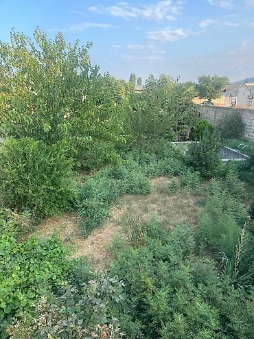 genclik kiraye evler 2026: 1 otaqlı, 700 kv. m, Kredit yoxdur, Təmirsiz — 5