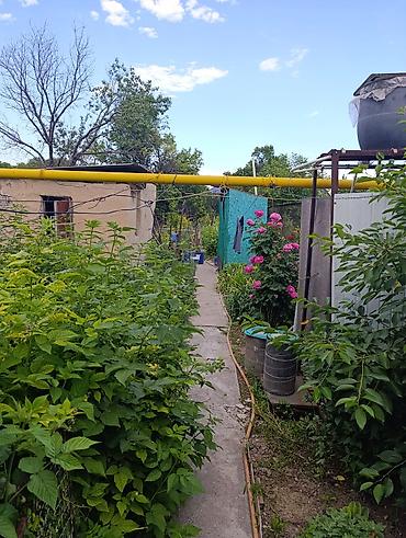 дома на пишпеке: Дом с приусадебным участком и хозяйственными постройками - — 4