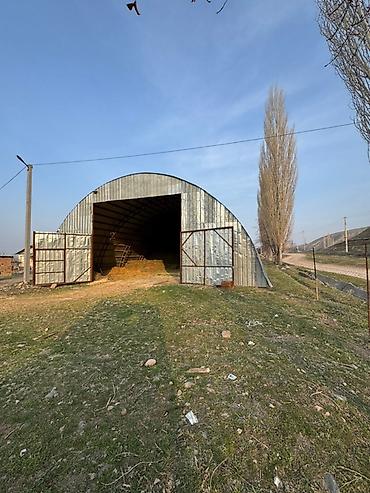 сары булун: 100 соток, Иштеп жаткан, Жабдуулары менен, Электр энергиясы — 2