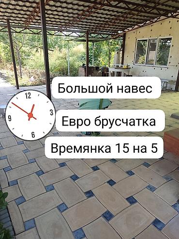 бизнес балыкчы: 60 соток, Для бизнеса — 6