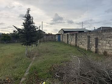 Torpaq: 17 sot, Tikinti, Kupça (Çıxarış) — 4
