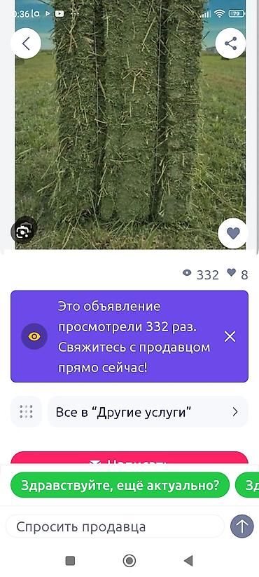 продаю кукуруз: Сено в тюках - Прессованное сено прямоугольными тюками - Ровные — 1