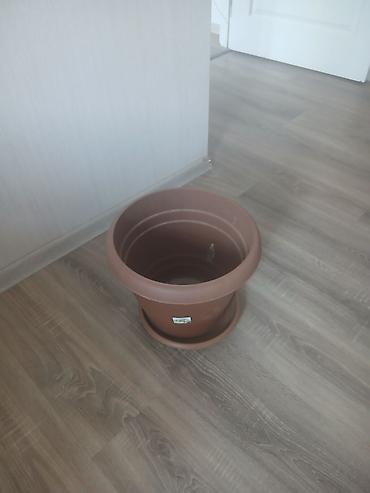güldəfnə bitkisi: Plastik gül qabı – altlığı ilə birlikdə 13l tutumlu cemi 73 denedi 73 — 2