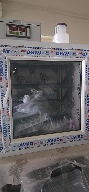Kənd təssərüfatı avadanlığı: Qablaşdırılmış pəncərə sistemləri materialından yığılmış yumurta — 1