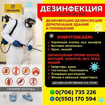 Клининг кызматтары: Дезинфекциялоо, дезинсекциялоо, | Бүргөлөр, Вирустар, микробдор, Канталалар, | Үйлөр, Кафелер, дүкөндөр, Батирлер — 3