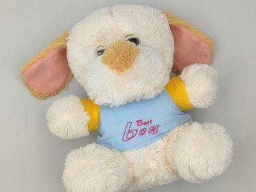 smyk body myszka miki: Mascot Dog, condition - Perfect
