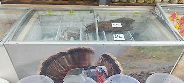 qurudulmuş dondurma: Dondurulmuş və qurudulmuş balıq məhsulları – market vitrinində çeşidli — 1