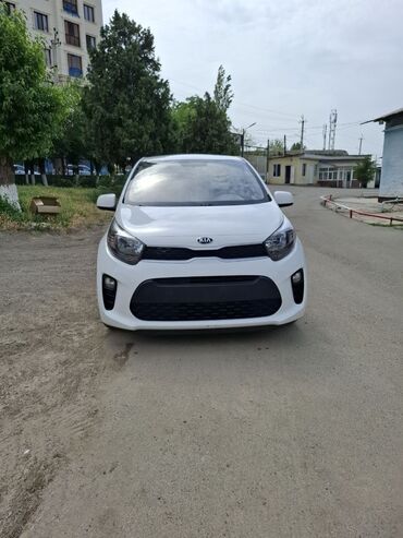 автомат ремонт: Kia Morning: 2019 г., 1 л, Автомат, Бензин, Хэтчбэк