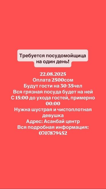 работа оператором на дому с ежедневной оплатой: Требуется Посудомойщица, Оплата Ежедневно