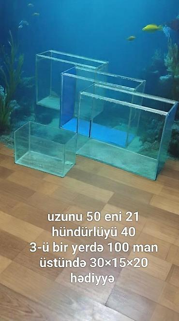 Dördbucaq akvarium, Boş, 35 l