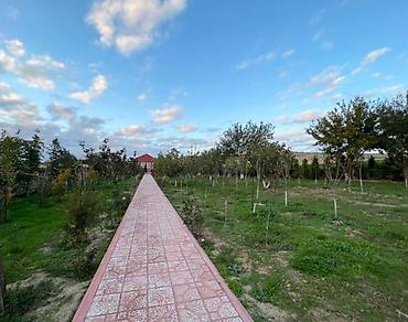 şəhər bağları: Digah, 500 kv. m, 9 otaq, Hovuzlu, Artezian quyusu, Kanalizasiya, Kombi — 4