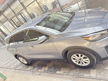 Продажа авто: Kia Sorento: 2019 г., 2.4 л, Автомат, Бензин, Кроссовер — 2