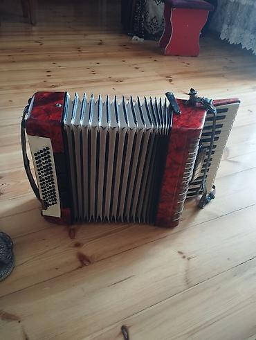 akardion: Akustik Akkordeon, İşlənmiş, Ünvandan götürmə — 4