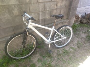 купить велик mtb: Горные велосипеды