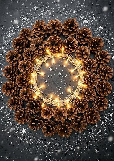 новогод: 🌲Шишки сосновые природные - Натуральные лесные шишки - Цвет: теплый — 1