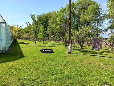 Продажа сельхоз предприятий: Кошара, 1500 соток, Действующий, С оборудованием, Электричество, Канализация, Отопление — 2