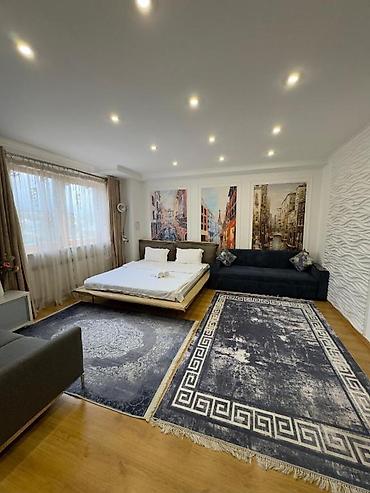 Посуточная аренда квартир: 1 комната, Люкс, элитка, Филармония, Душевая кабина, Постельное белье, Кондиционер — 13