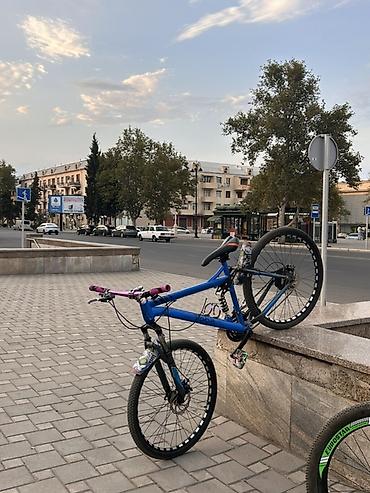 Orta amarizator islek qabag amarizator qoz kimi uzerinde hassans 7 pro