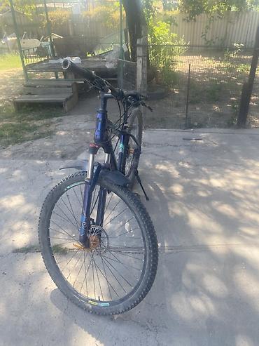 low2 fixie: Горный велосипед Phoenix - Рама: хардтейл, алюминиевая/стальная (по — 5