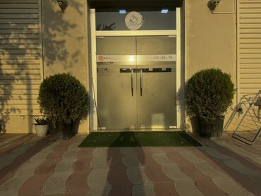 Çöl bitkiləri: 2 eded yolka agaci satilir 2si birlikde 100 Azn Baha alinib Tecili