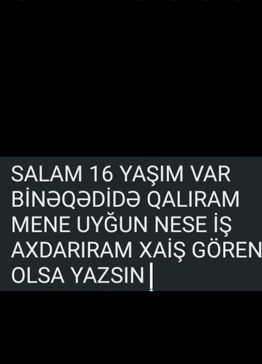 требуется репетитор начальных классов: Binəqədi rayonunda yaşayan 16 yaşlı gənc iş axtarır. Yaşıma uyğun
