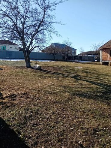 Torpaq sahələrinin satışı: 20 sot, Tikinti, Mülkiyyətçi, Kupça (Çıxarış) — 10