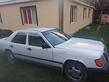 радиятор 124: Mercedes-Benz W124: 1987 г., 2.3 л, Автомат, Бензин, Седан — 2