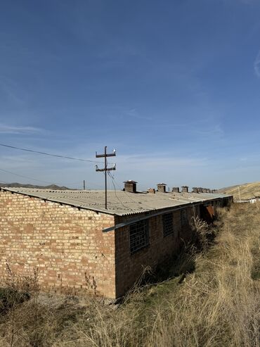 Сельхоз предприятия: Продаю Кошара, 130 соток, Действующий, Частично с оборудованием, Электричество, Канализация, Отопление — 4