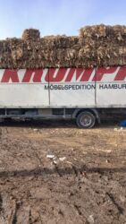 сколько стоит кролик домашний: Курузная шелуха в тюках цена договорная