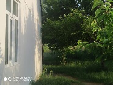 Bağ evlərinin satışı: Lerik, 115 kv. m, 3 otaqlı, İnternet, Telefon, Qaz — 9