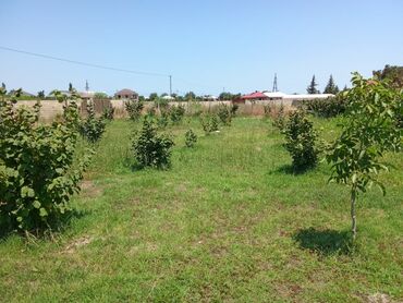 Torpaq sahələrinin satışı: 8 sot, Tikinti, Mülkiyyətçi, Texniki pasport — 2
