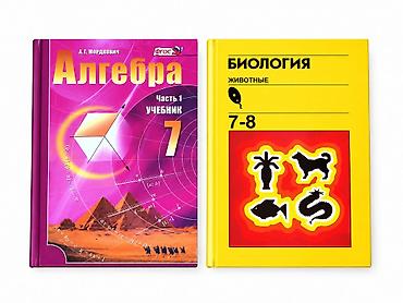 Школьные учебники и рабочие тетради для 2–8 классов. Состав подбора