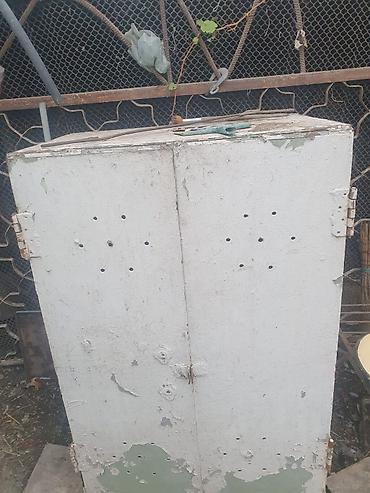 karidor skafi: Boyaya ehtiyacj var qeweng agir seyifdi Metall şkaf – iki qapılı — 1
