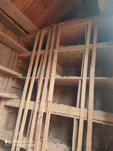 Yuvalar: Quşxana Satlır 30 cüt xana — 7