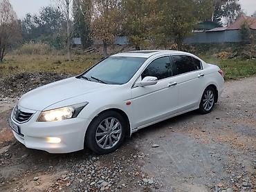 honda accord2: Honda Accord: 2008 г., Бензин, Седан — 3
