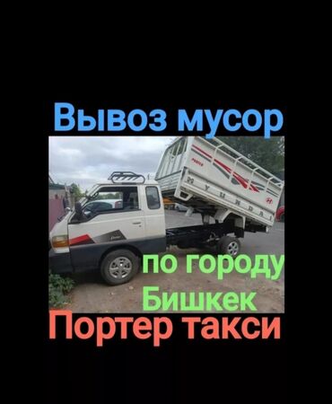 декоративные крысы: Вывоз мусора вывоз мусора вывоз мусора вывоз мусора вывоз мусора