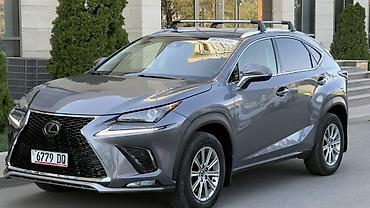 bmw глушитель: Lexus NX: 2020 г., 2 л, Автомат, Бензин, Кроссовер — 6