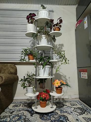 полка под цветы: Полка, этажерка для цветов, Новый, ЛДСП — 3