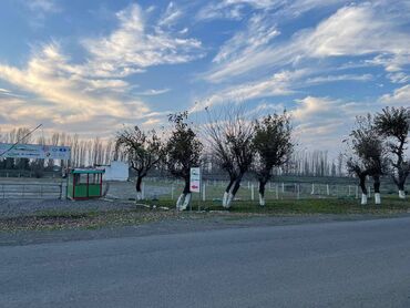 Digər kommersiya daşınmaz əmlakı: LƏNKƏRANDA. Bakı-Lənkəran magistral yolunda, Lənkəran şəhər 5 saylı — 6