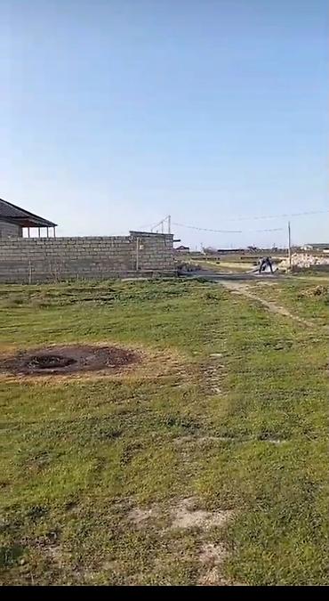 visnovka: Tikinti, Kupça (Çıxarış) — 1