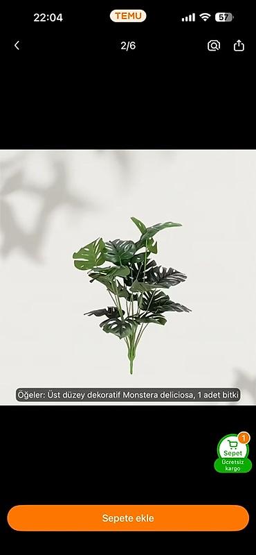 palma gülü: Məhsul: Dekorativ süni bitki – Monstera deliciosa (2 ədəd) - — 1