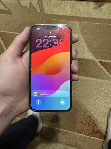 Apple iPhone: IPhone 13 Pro, Б/у, 256 ГБ, Alpine Green, 77 % — 6